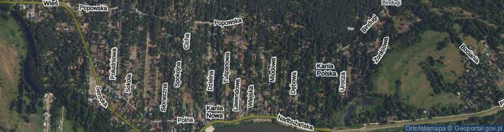 Zdjęcie satelitarne Wiejska ul.